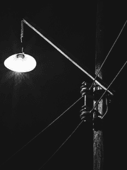 메이플 트윗 백업