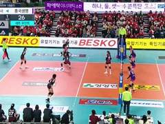 11.03(목) 19:00KOVO여 대전KGC vs 도로공사