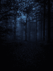 테스타, 브이틱, 위시즈 논컾