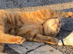 여러분들의 사랑은 무엇으로 완성되나요?