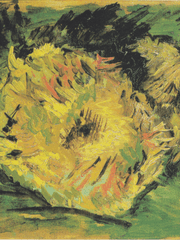 하나시타 히마리