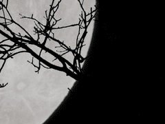 [백천이설] 첫사랑의 끝