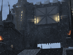 평화를 향한 기대