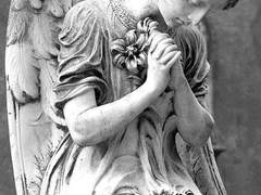 로지, 장미라는 뜻이야.