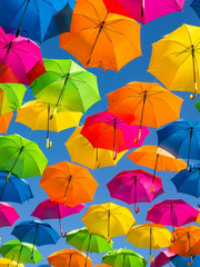 모노톤 뮤지엄 시나리오 배포