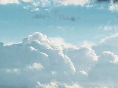 사랑은 학생회를 타고...?