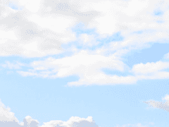 [씬시커] :: profile