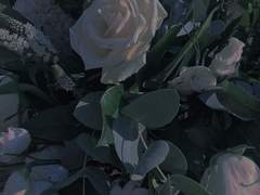 당신은 사랑에 빠진 순간을 기억하나요?