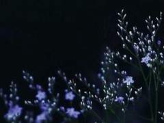 설편의 조소와 담화