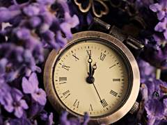 앨리스 승급시험 [중등부]