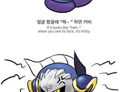 커비메타 구분법