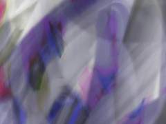 개새끼에 대한 고찰