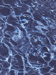 도리벤 드림 백업용