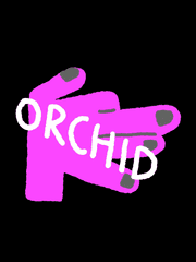 오키드 by 손세도