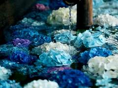 유리온 성장 전 프로필