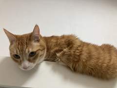 키보드랑 섹스해서 글 낳고 싶다