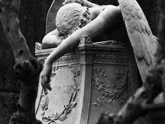 언젠가 네 본명을 알려 줄 수 있어?