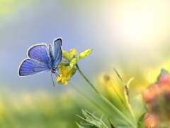 형님께 올립니다.