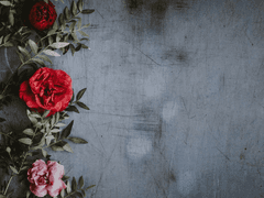 [성현제/유진/15禁] 짧지만 집요한 키스