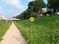 당신만을 바라봅니다