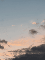 히나타는 태양인걸