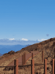 [나이츠] 막내 츠카사는 탈주합니다