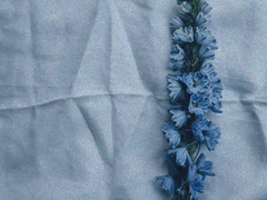 푸른 독초 BLUE VENOM 02