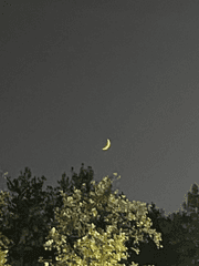 정신병 환자의 작은 수첩