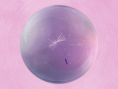 [앨범아트] 2021 수호맵스 - 성우 손수호