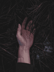 untill the day death comes