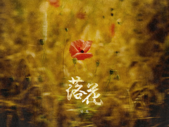 [앨범아트] 2022 돌체맵스 - 성우 최승훈, 권도일