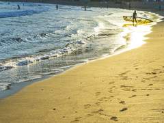 2022년 가을, 金波.