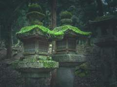 [희신강징] 終天