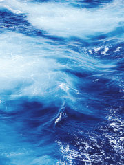 [해리포터] 잘못된 예언