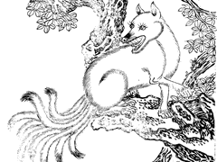 주원동식. 여우비1