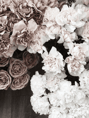 나는 당신을 ()합니다