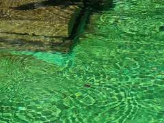 레아 이너스/19/XX