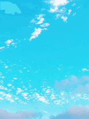 써니 사이드 타운