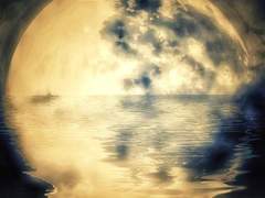 [현대팀] 월광(月光) 1.