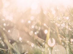 환상의 작파 (2)