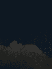 향은 주인을 닮는다