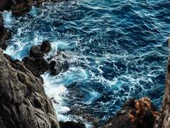 슈뢰딩거의 고양이