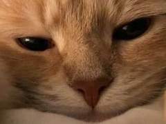 시뮬 고장낸 멍청이를 위한 글