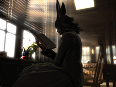 [FF14]_[빛의 전사]