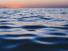 [번역] 바다에서 우리는 새로 태어날거야(in the ocean we’ll be born anew) 1