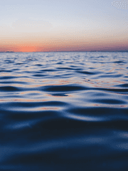 [번역] In the ocean we'll be born anew