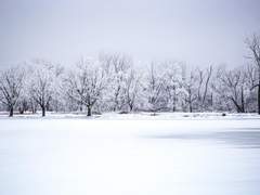 시끄러운 인형들