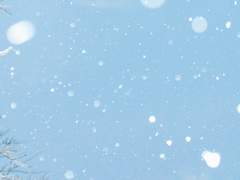 폭풍설의 가운데