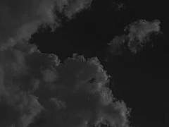 𝑰 𝒅𝒐𝒏’𝒕 𝒘𝒂𝒏𝒕 𝒕𝒐...