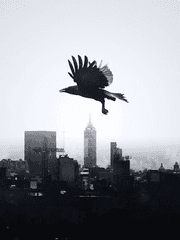 메인 스토리 7장